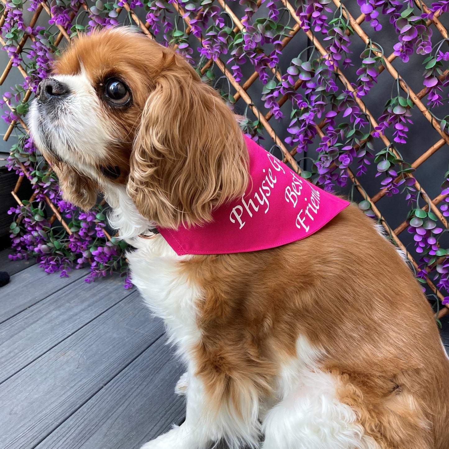 Dog Bandana