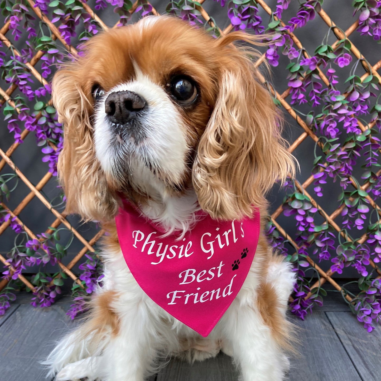 Dog Bandana