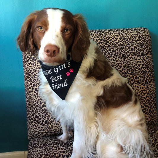 Dog Bandana